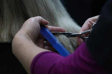 Haircuts Plus Stylist using scissors to cut hair